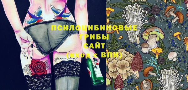молекула духа Аркадак