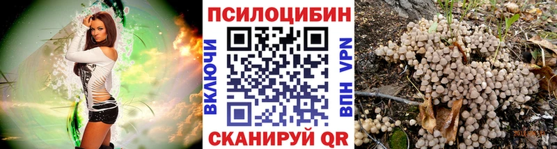 Псилоцибиновые грибы MAGIC MUSHROOMS  Тулун 