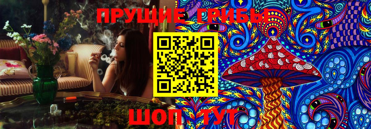 Тулун  Псилоцибиновые грибы GOLDEN TEACHER  Вход с VPN  Псилоцибиновые грибы Psilocybine cubensis 