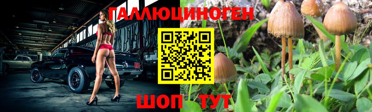 Галлюциногенные грибы мицелий Тулун